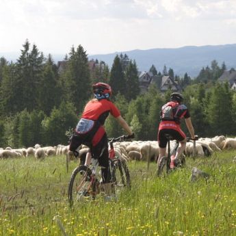 Sromowce Wyżne i okolica 